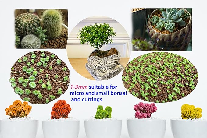 Japanese Super Hard Akadama Bonsai Soil - Extra Small Grain (2-4mm), 6 lb (3.6 QT) | Premium Volcanic Clay Medium for Cuttings, Seedling Cultivation & Fine-Rooted Bonsai