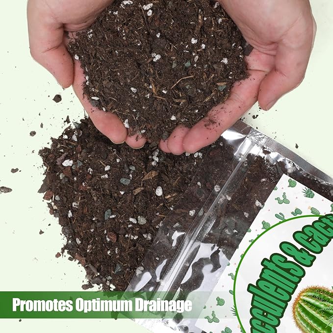 Cactus & Succulent Soil Mix 10qt, Chunky Well-Draining Soil for Indoor Plants - Spike & Bloom