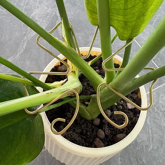 6pcs Plant Stem Support, Iron Monstera Plant Support, Plants Stem Holder Supports Butterfly Shape Bamboo Clamp Set for Outdoor & Indoor Growing Climbing Plants Stabilization and Supports