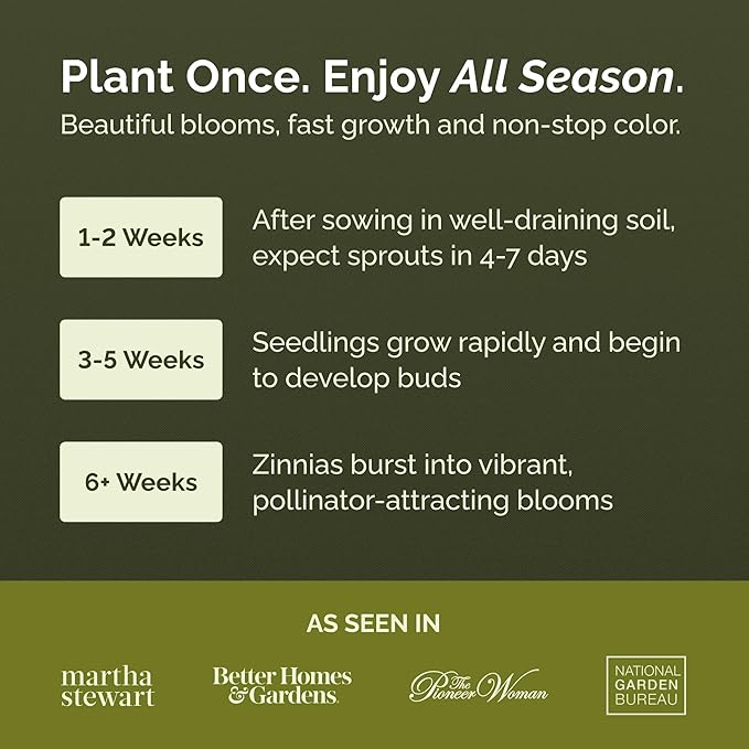 Eden Brothers Zinnia Seeds - Sprite Mix, Non-GMO Seeds for Planting, 1 oz | Low-Maintenance Flower Seeds, Plant During Spring, Zones 3, 4, 5, 6, 7, 8, 9, 10