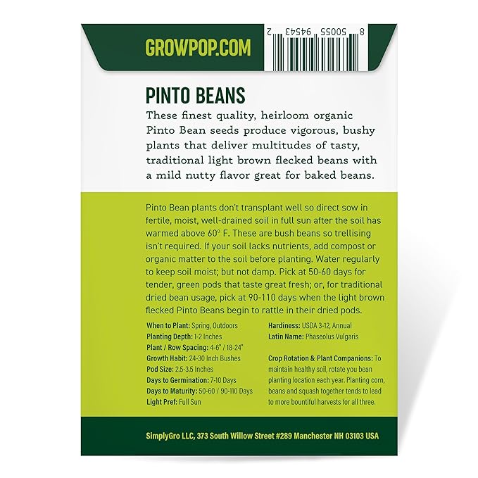 Organic Pinto Bean Seeds - USDA Organic, Non-GMO, Open Pollinated, Heirloom, USA Origin (5 Packets - 100 Grams - Approx 180 Seeds)
