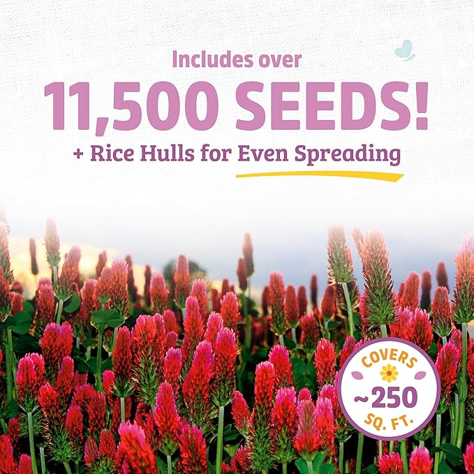 Back to The Roots 100% Organic Crimson Clover Cover Crop Seeds, Covers ~1000 sq. ft.