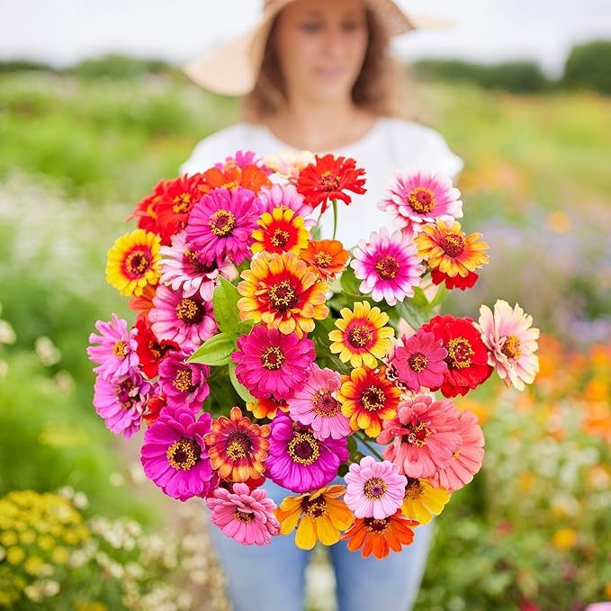 Eden Brothers Zinnia Seeds - Carrousel Mixed, Non-GMO Seeds for Planting, 1/4 lb | Low-Maintenance Flower Seeds, Plant During Spring, Zones 3, 4, 5, 6, 7, 8, 9, 10