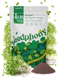 Arugula Sprouting & Microgreens Seeds - 220,000 Non-GMO Heirloom Seed, 1lb Resealable Bag - High-Germination Arugula Seeds for Sprouting in Jars, Soil, Hydroponics & Microgreen Trays