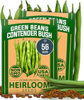 HOME GROWN Contender Bush Seeds - 56 Non GMO Heirloom Green Beans for Planting - Emergency Food Supply (Phaseolus vulgaris)