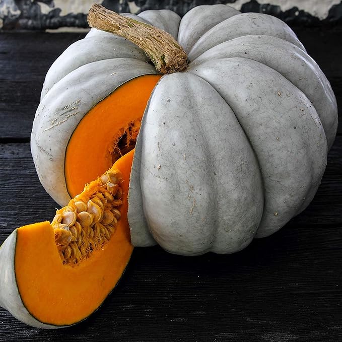 Organic Jarrahdale Pumpkin 1 Oz ~112 Seeds – Heirloom Cucurbita Maxima – Slate Blue Skin, Sweet Orange Flesh – Excellent Storage – Non-GMO – 100 Days – 9–10 lb Pumpkins