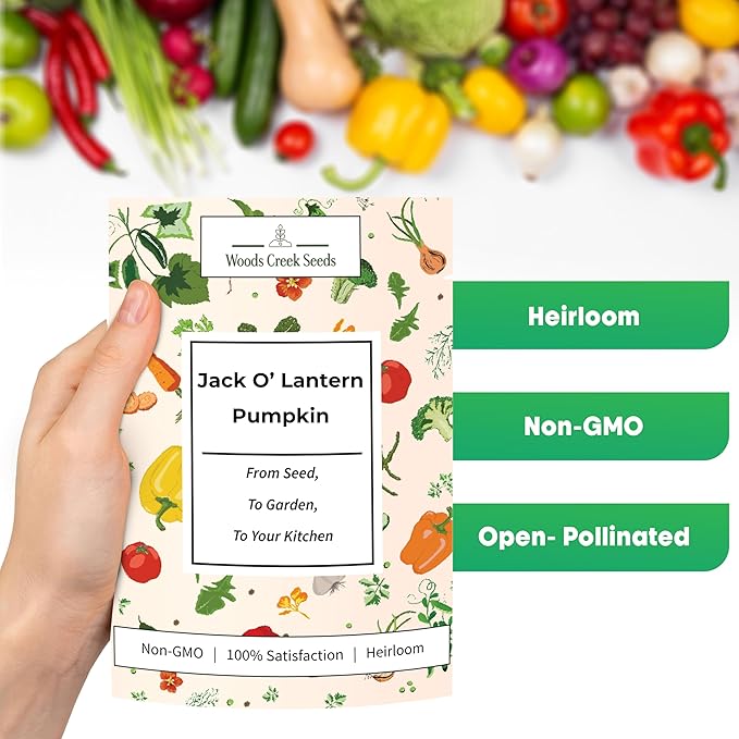 Woods Creek Seeds: Jack O Lantern Pumpkin Seeds for Planting - Over 40 Heirloom Non-GMO Pumpkin Seeds to Plant - Ideal Heirloom Seeds to Grow for Decor & Fall Harvest - Pumpkins for Outdoor Gardens