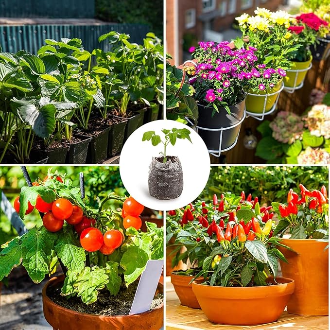MAQIHAN 100PCS Peat Pellets for Seedlings - 30MM Seed Starter Pellets Peat Pods for Starting Seeds Garden Soil for Planting Transplanting Growing Garden Flower