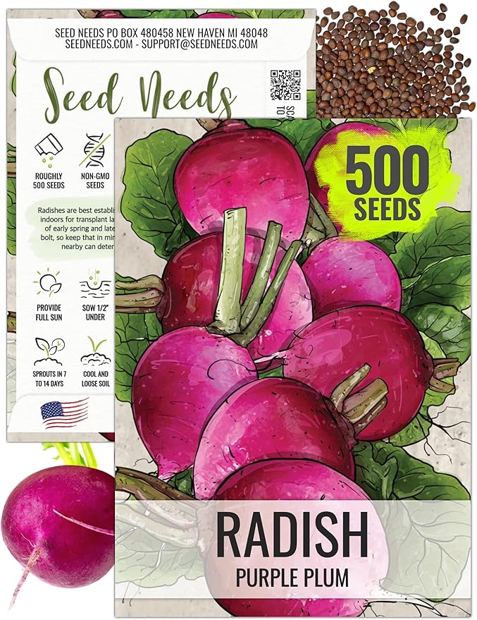 Seed Needs Radish Seeds for Planting Purple Plum Radishes - Non-GMO Heirloom & Untreated - Grow a Home Grown Vegetable Garden - Cool Weather Crops (1 Pack)