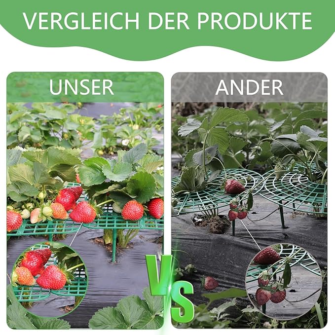 ANGTUO 10 Pack Strawberry Plant Support, Strawberry Support Growing Racks for Keeping Garden(5 Square+5 Round)