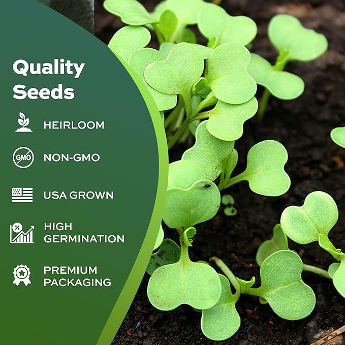 120 Clemson Spineless Okra Seeds for Planting - Heirloom, Non-GMO, USA Grown Seeds in Premium Waterproof Packaging - Lady's Finger, Gumbo, Bhindi by RDR Seeds
