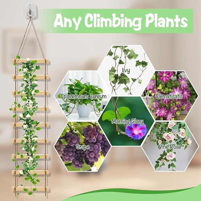 2Pcs Climbing Plants Trellis - 4.3 ft Wood Ladder Design Plant Support for Indoor & Outdoor House Vine Plant, Wooden Garden Plant Wall Trellis for Monstera, Pothos, Ivy, and More