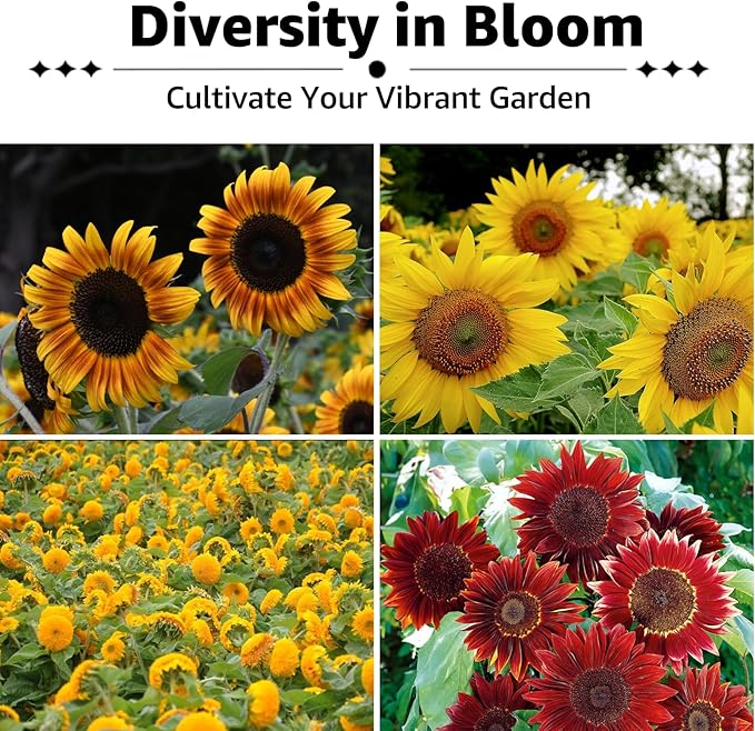 15+ Varieties 5000+ Sunflower Seeds for Planting, 4 Oz Heirloom Non-GMO Sunflower Mix Seeds to Plant (Giant Mammoth, Dwarf) Garden Variety Pack, High Germination, Attracts Pollinators