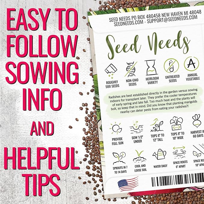 Seed Needs Radish Seeds for Planting German Giant Radishes - Non-GMO, Heirloom & Untreated - Grow a Home Grown Vegetable Garden - Cool Weather Crops (2 Packs)