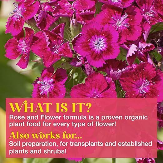 Bloom City Rose & Flower Plant Food – Liquid Fertilizer for More Blooms, Vibrant Color & Healthy Growth, 1 Gallon