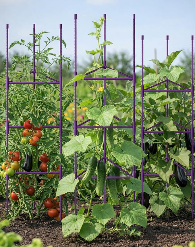 Growsun 51 inch Tomato Cage Heavy-Duty Plant Support Cucumber & Vine Vegetables – Adjustable Green Metal Garden Trellis for Climbing Plants, Indoor & Outdoor Use, 6 Pack