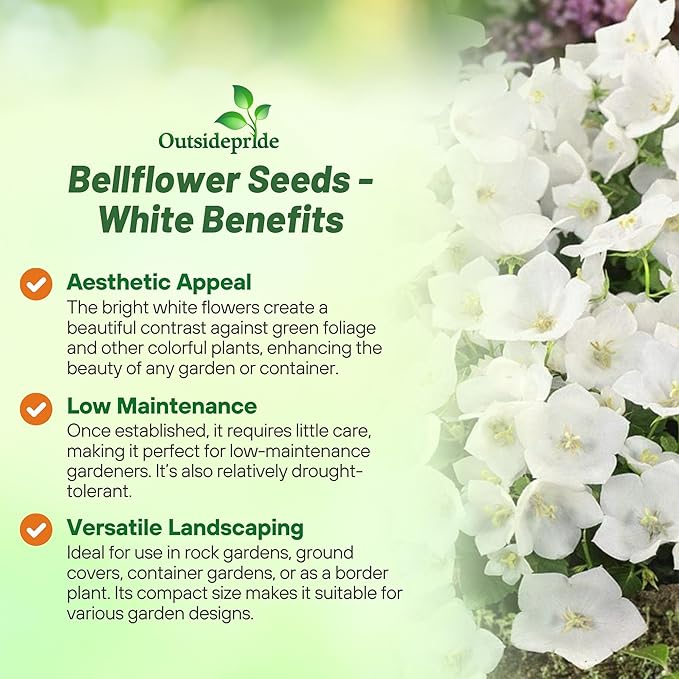 Outsidepride White Bellflower Seeds for Planting - 5000 Pcs Perennial Mat-Forming Flower Seeds with Bell Shaped Blooms & Low Growth Habit for Edging Pollinator Gardens, Containers, & Borders