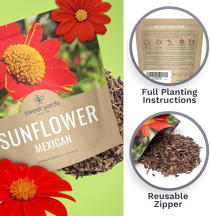 Mexican Sunflower Seeds – Extra Large Packet – Over 2,500 Open Pollinated Non-GMO Wildflower Seeds – Tithonia rotundifolia