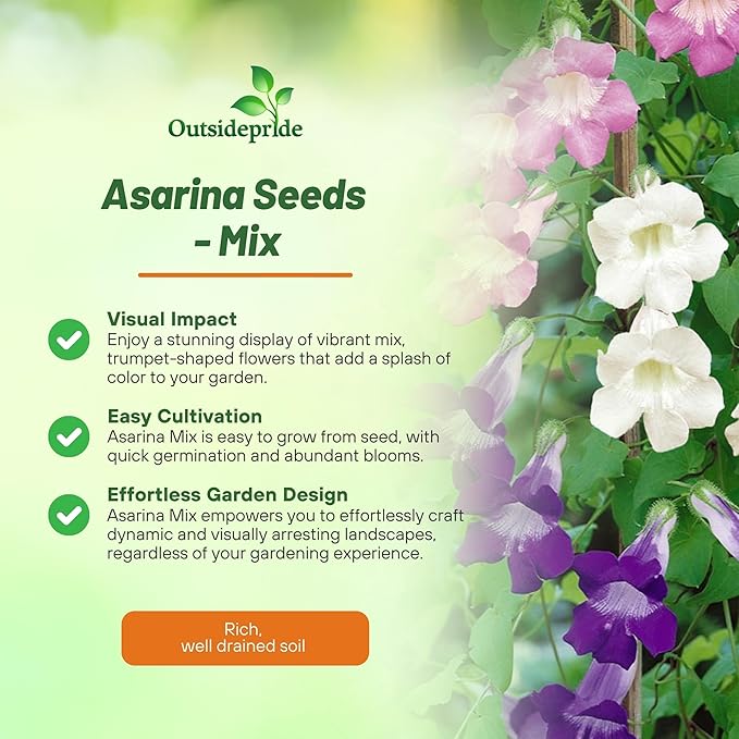 Outsidepride Mix Asarina Climbing Snapdragon Seeds - 100 Pcs Perennial Flower Seeds for Planting, Easy to Grow Climbing Vines w/Attractive Flowers for Containers, Trellises, & Ground Cover