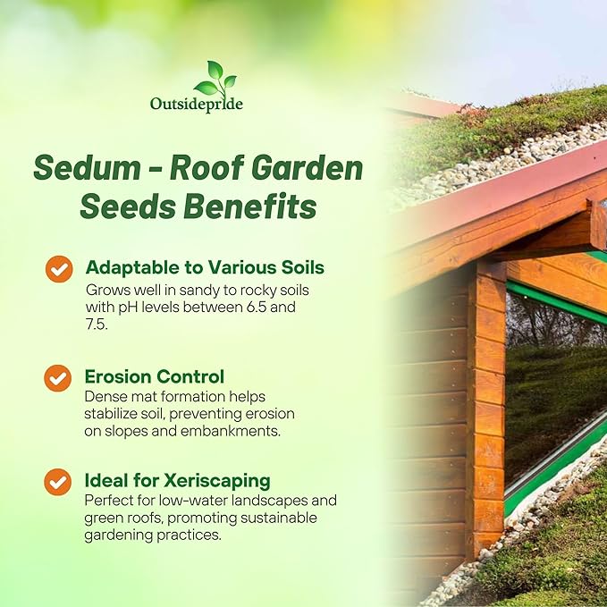 Outsidepride Roof Garden Sedum Seeds - 5000 Pcs Perennial Ground Cover Seeds for Planting, Cold-Hardy & Heat-Tolerant Succulent Plants, Ideal for Rock Gardens, Containers, and Xeriscaping