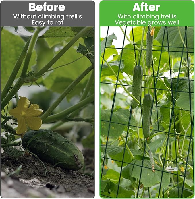 Foldable Cucumber Trellis 64" H x 20" W, A-Frame Garden Trellis for Raised Bed, Outdoor Climbing Plant Support with Twist Ties & Plant Bags for Climbing Plants Outdoor