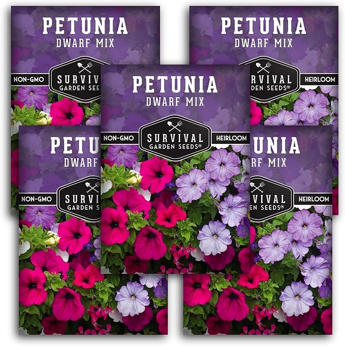 Dwarf Petunia Seed Mix for Planting - Plant & Grow Colorful Flowers to Attract Pollinators to Your Home Garden - Non-GMO Heirloom Variety - Survival Garden Seeds (5 Packs)