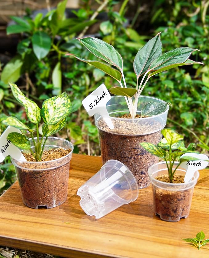 homenote Clear Nursery Pots for Plants,4 Inch Plant Pot for Planting Plastic Seedling with Drainage Holes Seed Starter Flower High Transparency with 20 Labels (60 Pack)