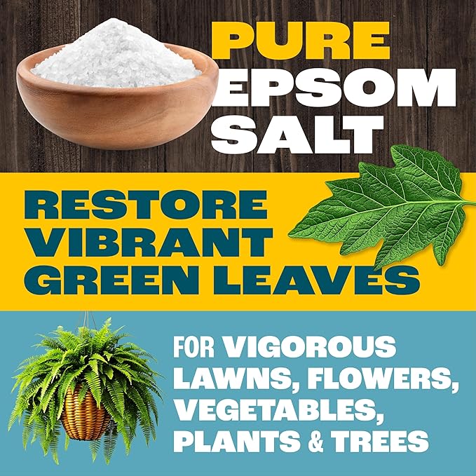Pennington 397606 Epsom Salt Plant Nutrient, 7 lb