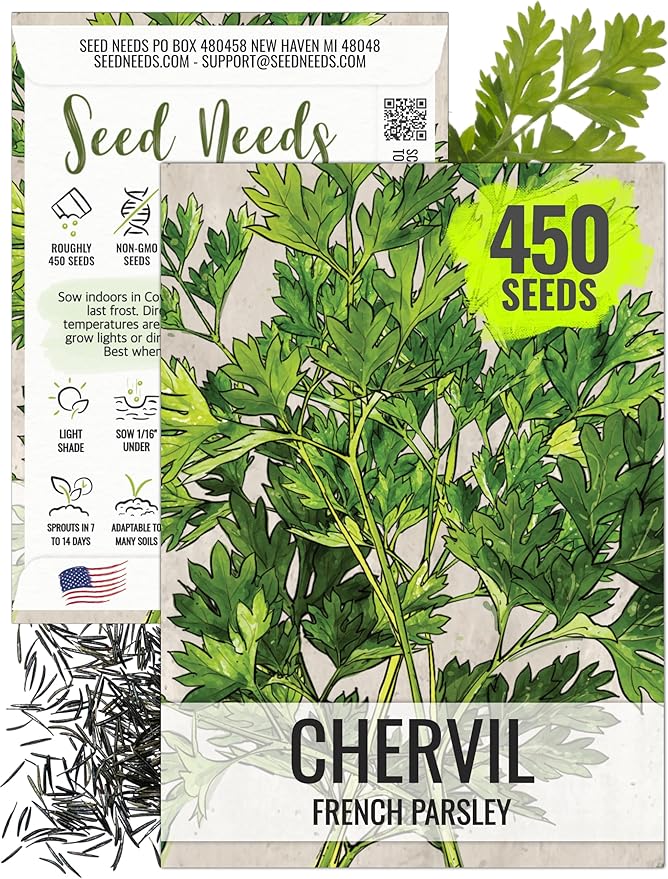Seed Needs Chervil Seeds for Planting - Non-GMO, Heirloom & Untreated Annual Herbs - Grow an Indoor/Outdoor Garden Full of Culinary French Parsley (1 Pack)
