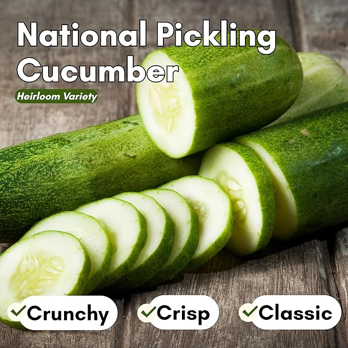 National Pickling Cucumber Seeds for Planting - Heirloom Cucumber Seed Pack - Non-GMO Pickling Cucumbers for Planting Indoors or Outdoors | Woods Creek Seeds