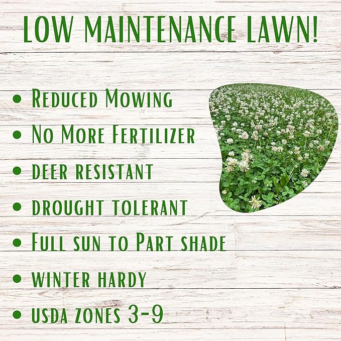 Flawn Seed Kits White Dutch Clover Seed, 8.8 Oz, Organic Coated, Natural Lawn, Ground Cover, Hunting Food Plot, Covers up to 2,000 SqFt