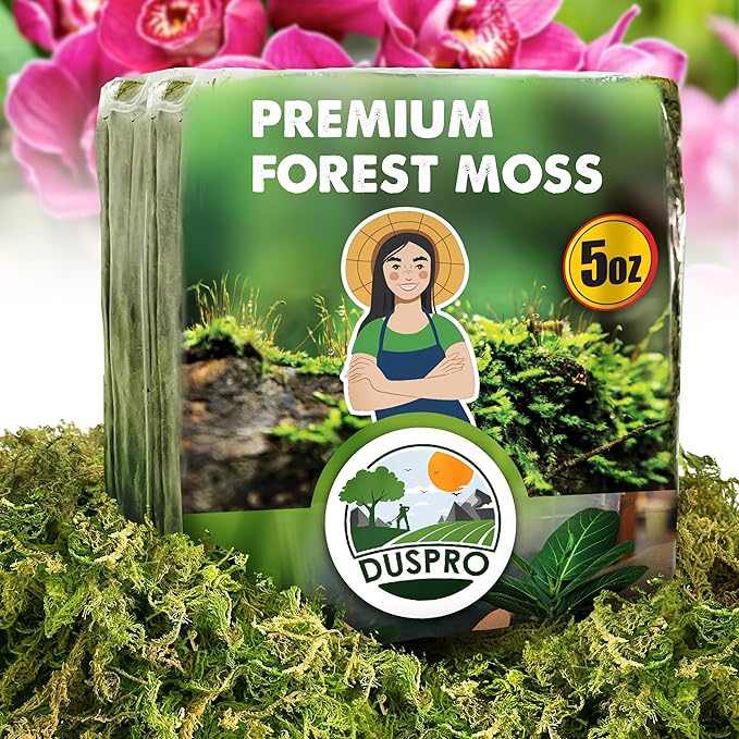 DUSPRO 5oz Dried Moss for Potted Plants, Forest Orchid Moss for Potting Mix, Sphagnum Potting Moss for Plants Indoor, Real Moss Soil Cover for Houseplant