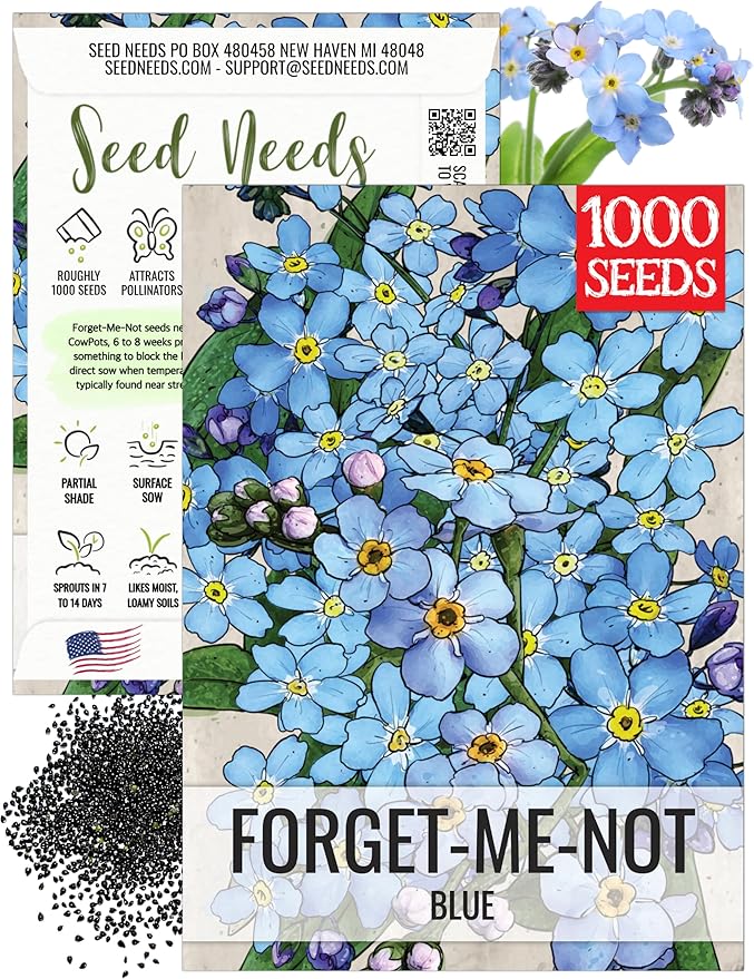 Seed Needs Forget Me Not Seeds for Planting Blue Myosotis Flowers - Heirloom & Open Pollinated Wildflowers to Plant an Outdoor Butterfly Garden to Attract Pollinators (1 Pack)