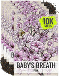 Seed Needs Pink Baby's Breath Seeds for Planting Rosy Pink Blooms - Heirloom & Open Pollinated Wildflowers to Attract Pollinators to a Butterfly Garden - Great for Cut Flowers (5 Packs)