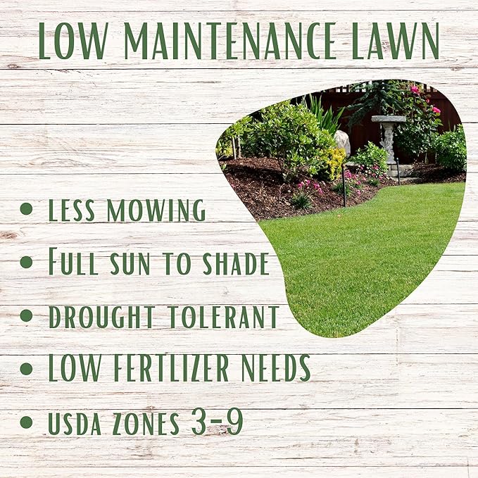 Flawn Seed Kits Ruff and Tuff Mow Less Fescue Grass Seed, 1 Lb, Low Maintenance, Family Friendly, Drought Tolerant, Covers up to 500 sq ft