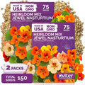 KVITER 150 Mix Jewel Nasturtium Seeds for Planting Outdoors (Tropaeolum Nanum), 2 Pack — Heirloom & Organic Seed Packet — Edible Flower Seeds to Plant Outside & Inside in Garden, Containers