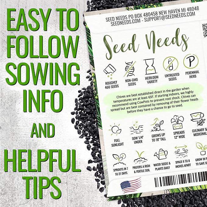 Seed Needs Chive Seeds for Planting Garlic & Common Chives Herbs - Non-GMO Heirloom & Untreated Garden Seed to Plant an Indoor/Outdoor Culinary Garden (Collection of 2 Packets)