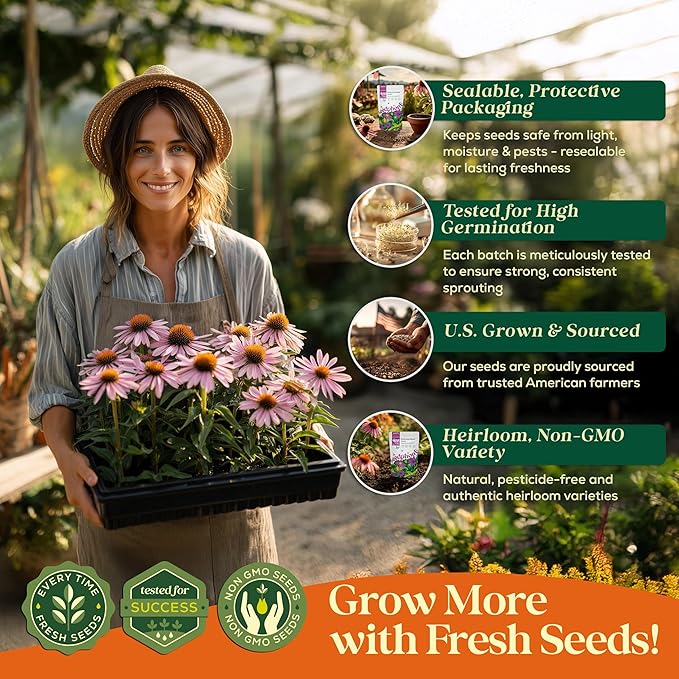Seedphony Echinacea Seed Pack 4 oz - 37,500 Non-GMO Heirloom Echinacea Seeds for Planting, Perennial Flowers in Waterproof Seed Packet, Coneflower Seeds for Planting Garden Indoor & Outdoor Gardening