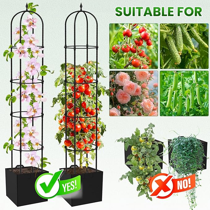 Garden Obelisk Trellis for Climbing Plants - 76" Tall Weather-Resistant Rustproof Metal Plant Flower Support for Roses, Clematis, Tomatoes & Vines, Indoor/Outdoor Use, 12”D (2 Pack)