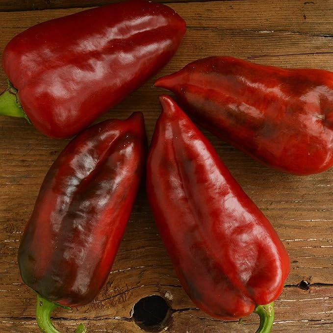 Yalova Yaglik Sweet Frying Pepper - 25 Seeds - Rare Heirloom & Open-Pollinated Variety, USA-Grown, Non-GMO Vegetable Seeds for Planting Outdoors in The Home Garden, Thresh Seed Company