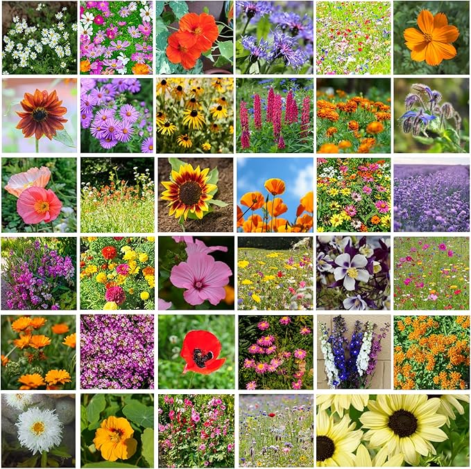 35 Varieties of Flower Seeds for Planting, ~20,000 Seeds - Includes Annuals, Perennials, & Wildflowers - Our Largest Assortment of Bulk Flower Seeds - Premium Flower Garden Seed Collection