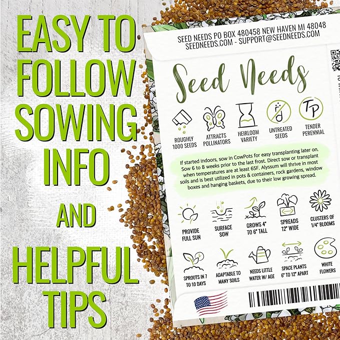 Seed Needs Alyssum Seeds for Planting - Heirloom & Untreated - Tender Perennial Flowers to Attract Pollinators to Rock Gardens, Pots, Containers & Window Boxes