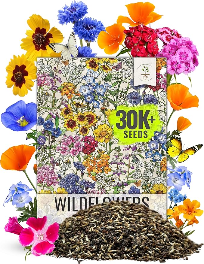 Seed Needs 2 Ounce Low Growing Wildflower Flower Seeds for Planting | Mixture/Blend 17 Varieties | Resealable Package Multicolored Blooms Open Pollinated Mixed Species | Bulk