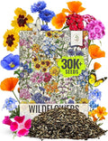 Seed Needs 2 Ounce Low Growing Wildflower Flower Seeds for Planting | Mixture/Blend 17 Varieties | Resealable Package Multicolored Blooms Open Pollinated Mixed Species | Bulk