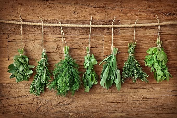 12 Variety Herb Garden Seed Collection, Non-GMO Heirloom Seeds, Basil, Parsley, Cilantro, Oregano, Chives, Thyme, Sage, Dill, Fennel, Marjoram, Savory, Tarragon