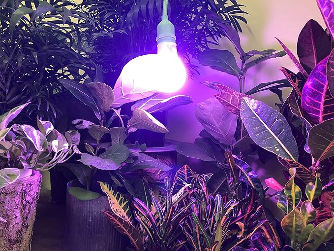 Miracle LED 4KK Indoor Grow Light Bulb – 4000K Red and Blue Spectrum Grow Bulbs for Vegetables, Herbs, Hydroponics. (2-Pack)