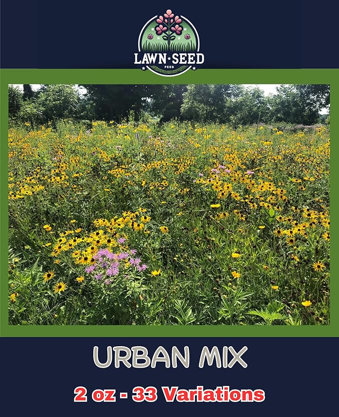Urban Wildflower Mix (2oz) Sprinkle a Little Magic—Our Shade, Perennial, Hummingbird, Deer-Resistant, and Other mixes Bring Vibrant Color and pollinator Joy to Any Space.