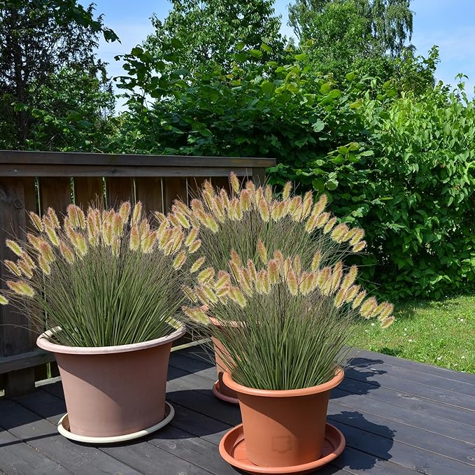Ttranewsoo Artificial Grass, Fake Grass, Artificial Shrubs, Wheatgrass Cattails Fake Grass Decorations, Artificial Plants, Ornamental Grass, Outdoor Fake Grass, Green Leafy Decorations (12PCS)