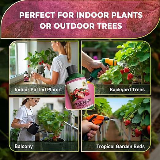 Leaves and Soul Professional Strawberry Fertilizer Liquid Concentrate - 6-4-6 Blend Liquid Garden Fertilizer for Strawberries - Plant Food for Strawberry Bushes and Plants - 8oz