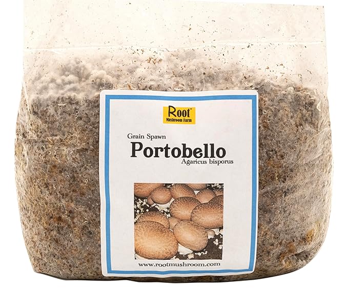 Root Mushroom Farm-Portobello Grain Spawn(NOT A GROW KIT)